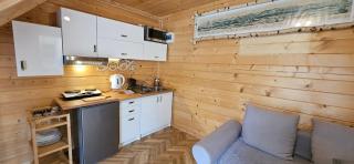 ECO Domek z dużym ogrodem i widokiem - Murzasichle - 9