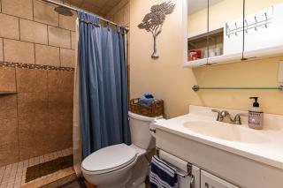 Red Bird Cabin Studio Retreat - Kingsland - 9