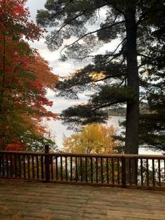 Birch Tree Lodge - Minong - 7