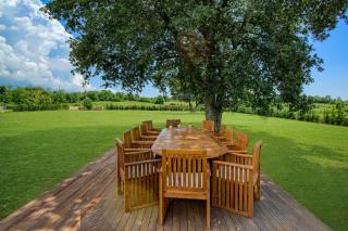 Villa Yellow Tree Jurići - Jakići - 5