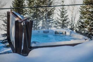 Lake and Pool Table - Au Pied du Lac - 9