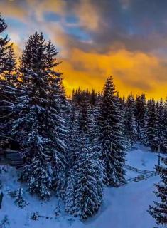 Apartment Our Story, Jahorina - 7