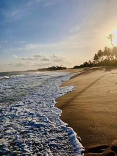 Meadow Cabanas - Tangalle - 9