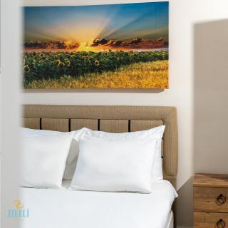 Zileli Suıtes - Hamidiye - 8