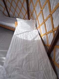 Chingisiin Urtuu Camp - Yoliin Hural - 5