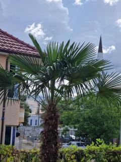 The Koplik Guesthouse - Koplik - 2