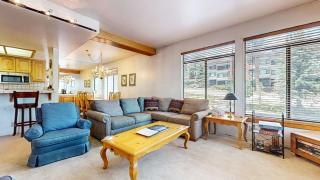 Silver Bear 18 Condo - Mammoth Lakes - 2