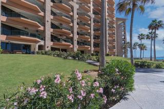 Sonoran Sea - Puerto Peñasco - 1
