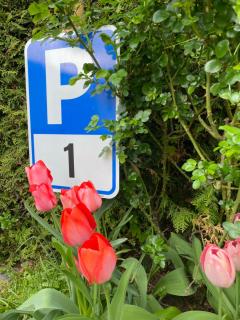 APARTMENT KLAGENFURT Villa Frank No3 - with Free Parking, Smart-TV & Self Check-in - Klagenfurt - 5