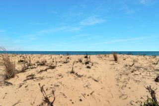 Ocean drive 26 - Rehoboth Beach - 3