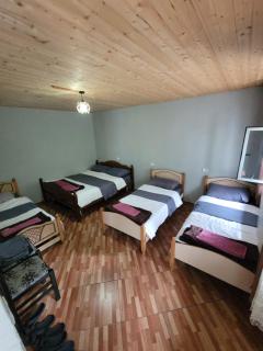 Guest House Emanueli - Tropojë - 8
