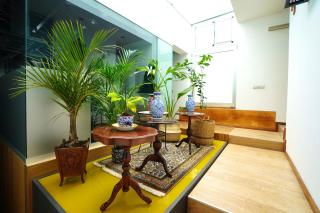 Modern Luxury Canarian House - Garachico - 5