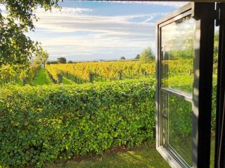 Dara Vineyard Cottage - 1