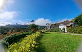 K.K. Park Resort - Khao Sok National Park - 7