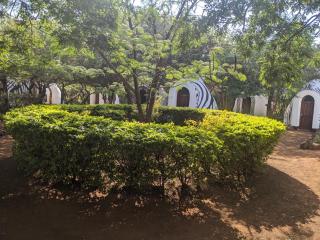 Panorama Safari Camp - Mto wa Mbu - 7