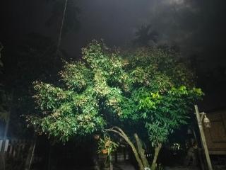 Quốc Cảnh Homestay - Kon Rung (1) - 7