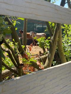 Family home with garden - Feucherolles - 2