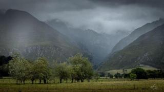 Arumvale Country Retreat - 4