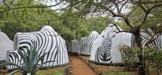 Panorama Safari Camp - Mto wa Mbu - 6