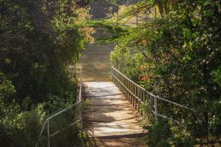 Storms Resort & Campsite - Nanyuki - 3