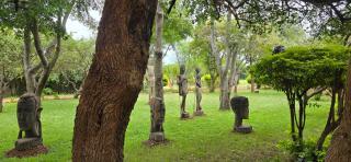 Panorama Safari Camp - Mto wa Mbu - 4