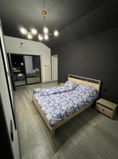 Firefly Nights - Sheki - 1