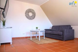 Ferienhaus am Gutspark Drankse Ferienwohnung Sonnenrose - 6