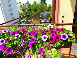 Pokoje Gościnne Kaya - 5