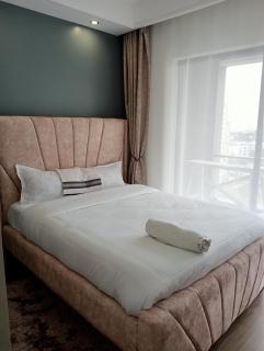 Classic One Bedroom Apartment - Nairobi - 2