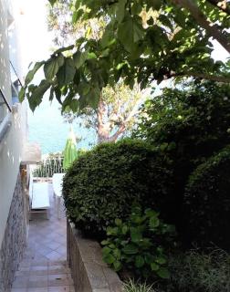 Quiet home near Bastia - San-Martino-di-Lota - 8