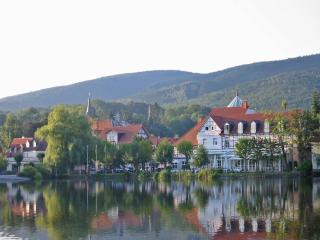Apartment Haus am Berg, Lonau - Lonau - 6