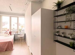 Lovely Studio w kitchen - Copenaghen - 0