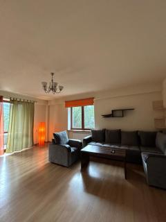 Sweet home 55 in the heart of Dilijan - 7
