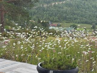 Flott nyere hytte i Sirdal med fantastisk utsikt og solforhold - Haugen - 8