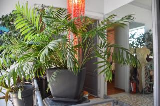 Y House - Atene - 7