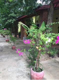 Naga bungalows - Kampot - 9