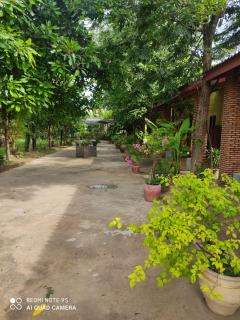 Naga bungalows - Kampot - 3