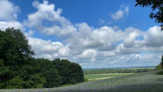 FeWo Hasen Suite - Worpswede - 3