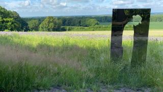 FeWo Hasen Suite - Worpswede - 5