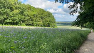 FeWo Hasen Suite - Worpswede - 4