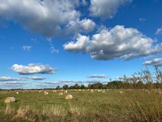FeWo Hasen Suite - Worpswede - 7