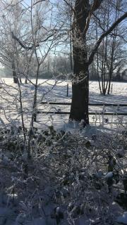 FeWo Hasen Suite - Worpswede - 8