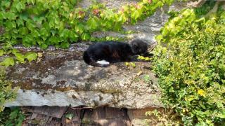 Les Chambres du Monteil - 1 à 5personnes - 8