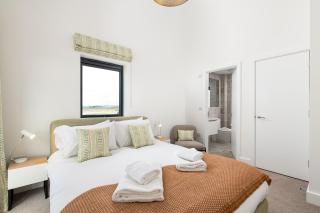 Meadow Hare SV06 Silverlake Dorset - 4