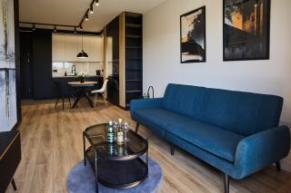 Apartament Niebieski Horyzont Kopisto 11 Centrum Miasta Rzeszów - Rzeszów - 4