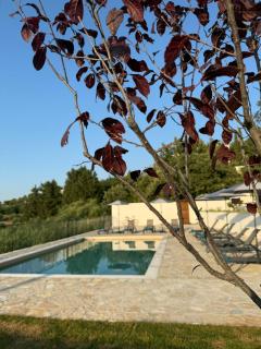 Villa Altana Corfu - Acharavi - 7