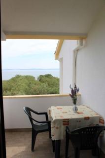 Apartments in Privlaka - Zadar Riviera 49934 - Privlaka - 0