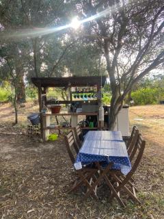 Finca Fahala - 9
