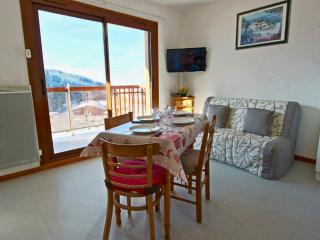 Studio cosy au pied des pistes à Chamrousse, balcon sud, idéal pour 4 personnes - FR-1-340-148 - Chamrousse - 0