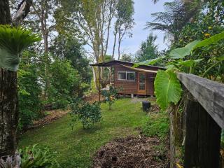 Bellingen - Hilltop Garden Studio - Bellingen - 5